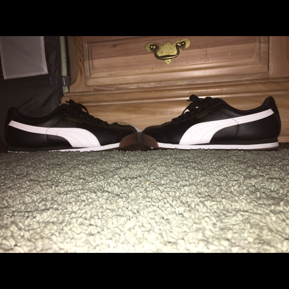 Pumas