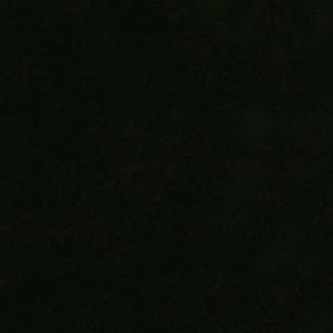 Meet your Posher, Naola