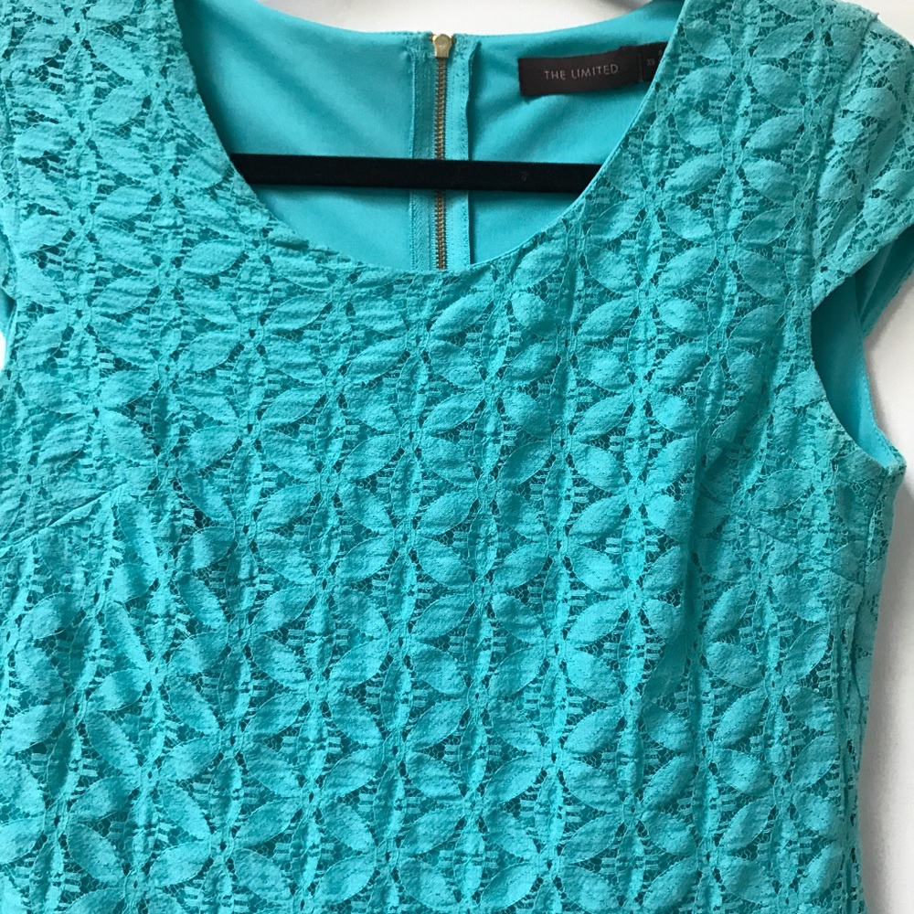 The Limited Lace Dress - Picture 4 of 5