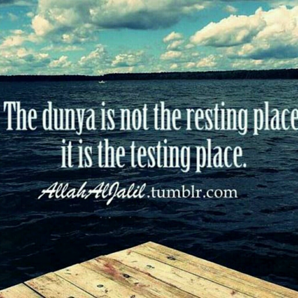 Meet your Posher, Abdul