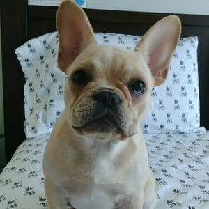 Meet your Posher, Luciana