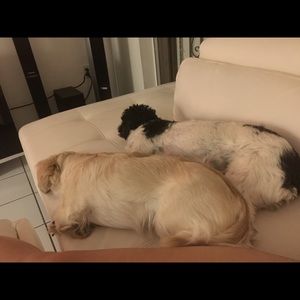 Meet your Posher, Manuel