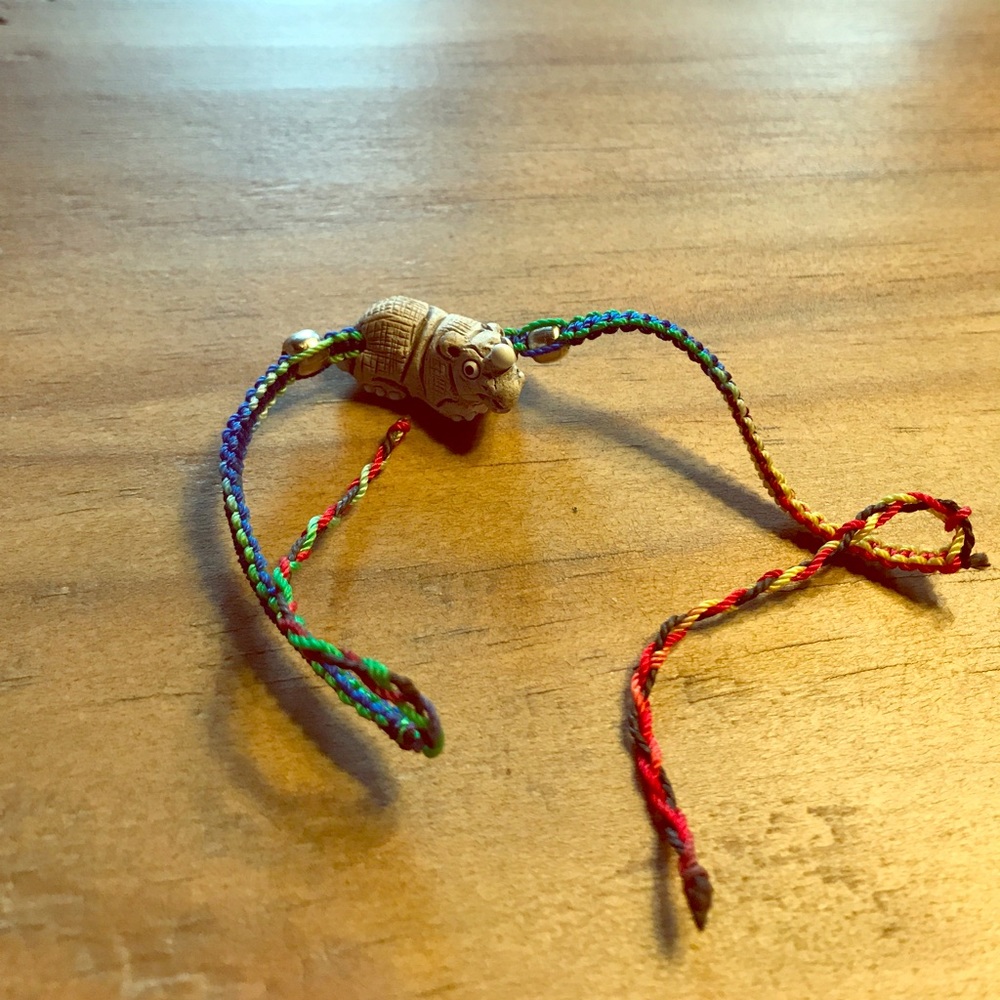 Rhino Friendship Bracelet
