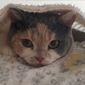 Meet your Posher, Moira