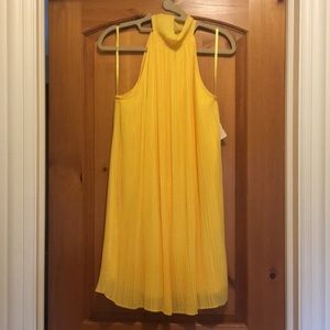 Yellow pleated dress.