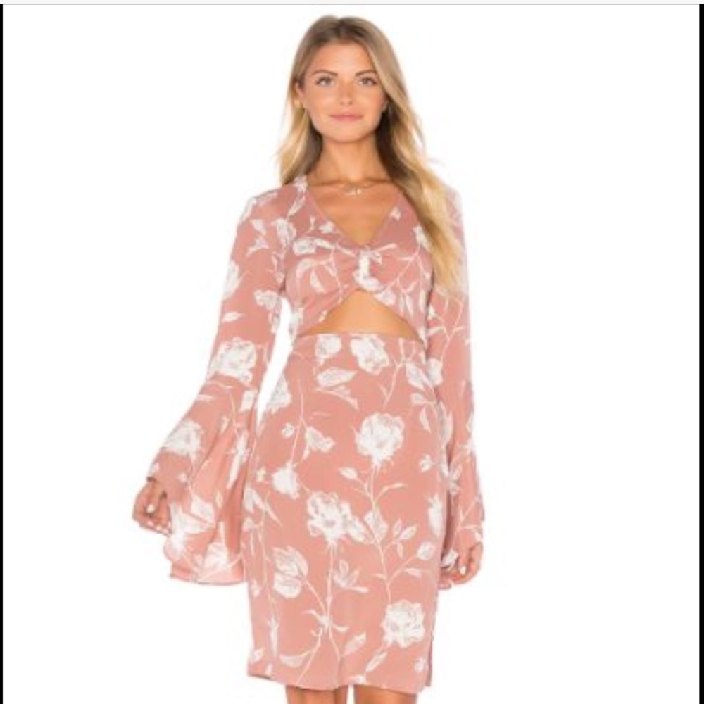 Flynn skye Moscow dress