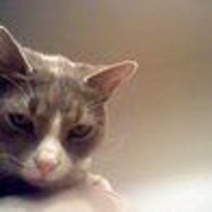 Meet your Posher, Alberta