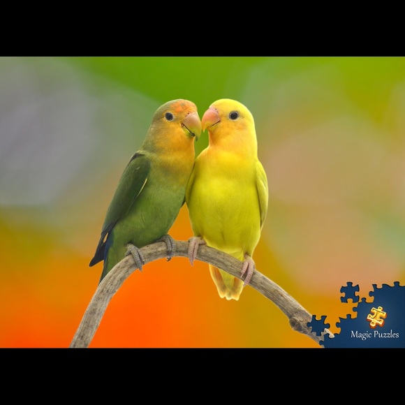 Meet your Posher, Deborah - Picture 1 of 1