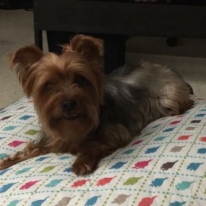 Meet your Posher, Wincy