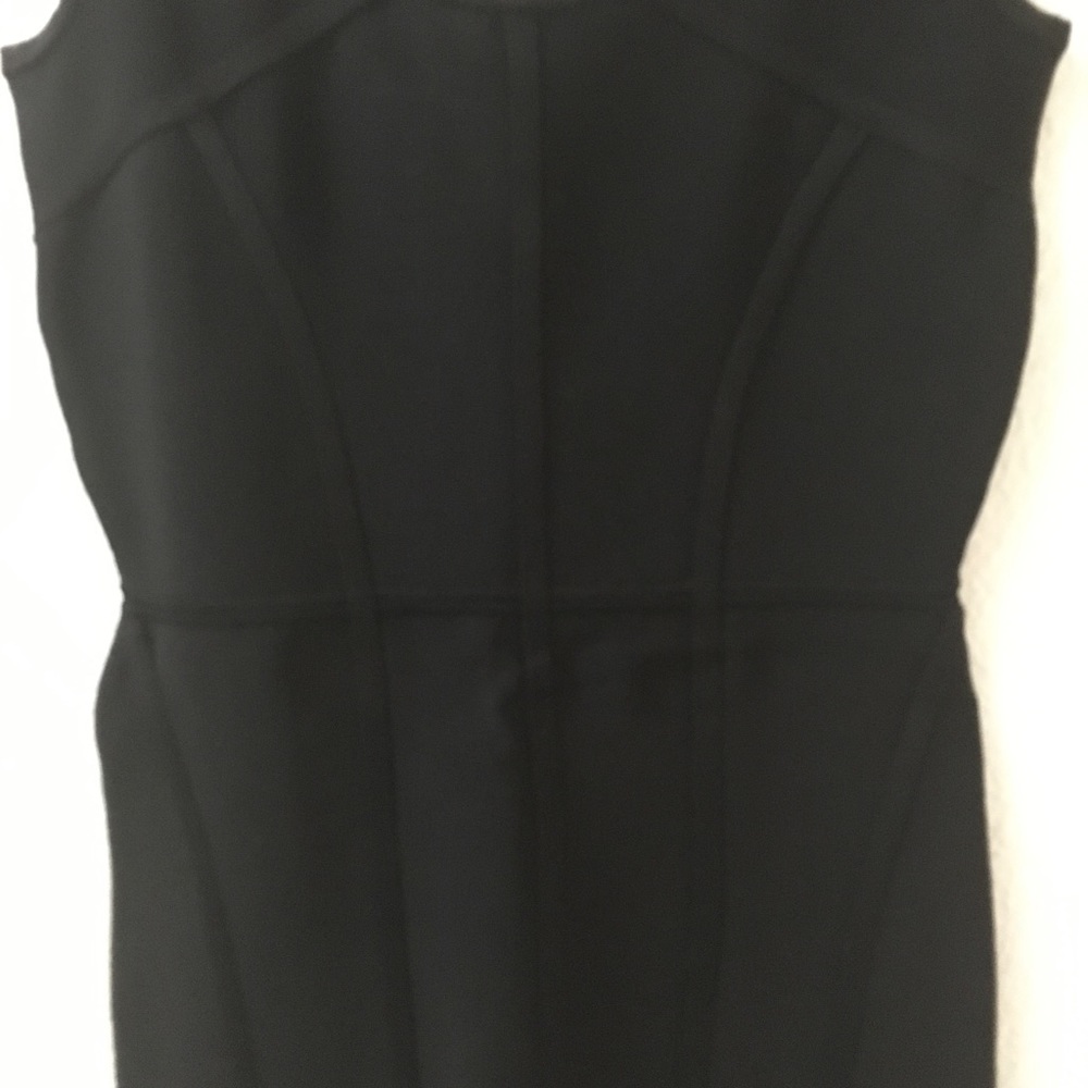 BCBG Makenna Princess-Seam Sheath Dress - Picture 4 of 7