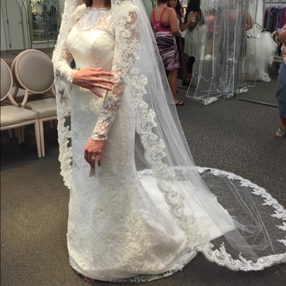 Wedding dress, vail, accessories