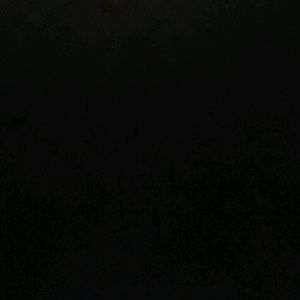 Meet your Posher, Bridget