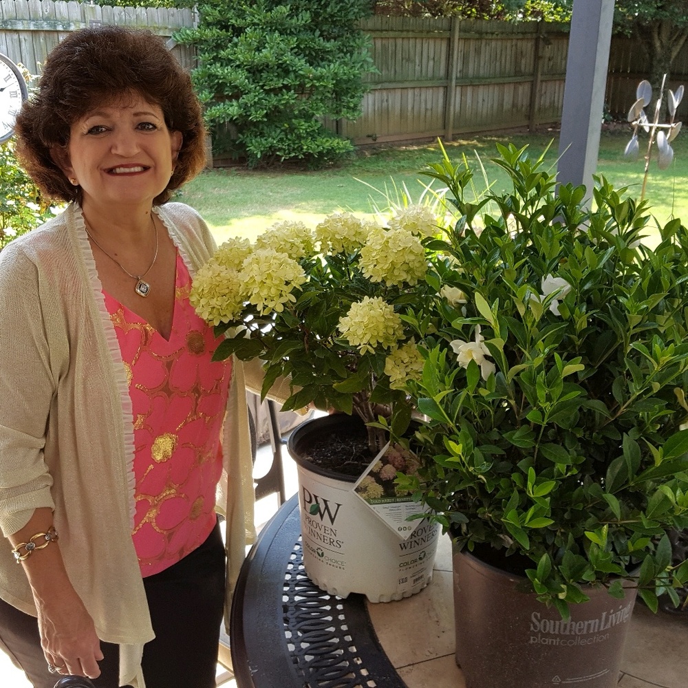 Meet your Posher, Donna