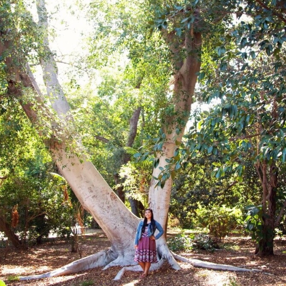 Meet your Posher, Dessa