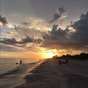 Meet your Posher, Lynn