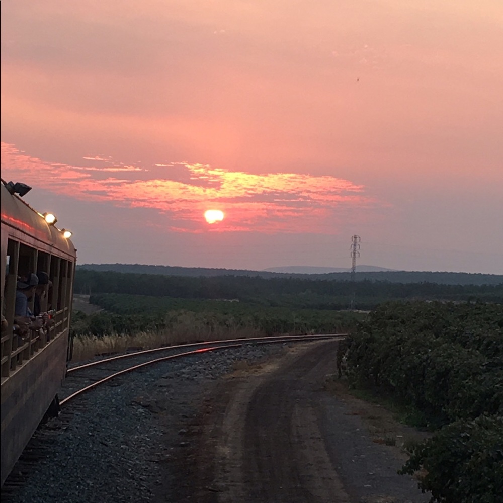 Meet your Posher, Ellen