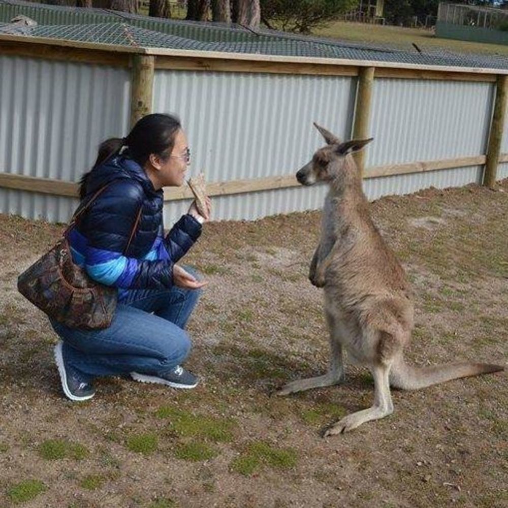 Meet your Posher, Winnie