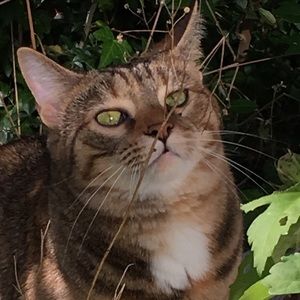 Meet your Posher, Oliver