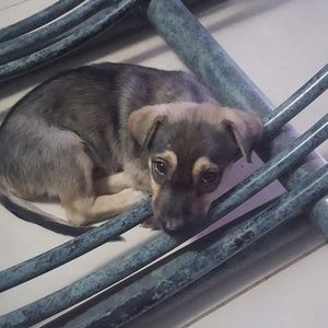 Meet your Posher, Lynne