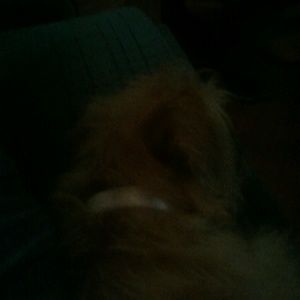 Meet your Posher, Courtney