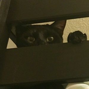 Meet your Posher, Cassy