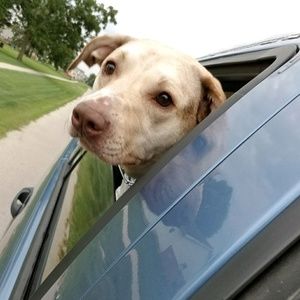 Meet your Posher, Amber