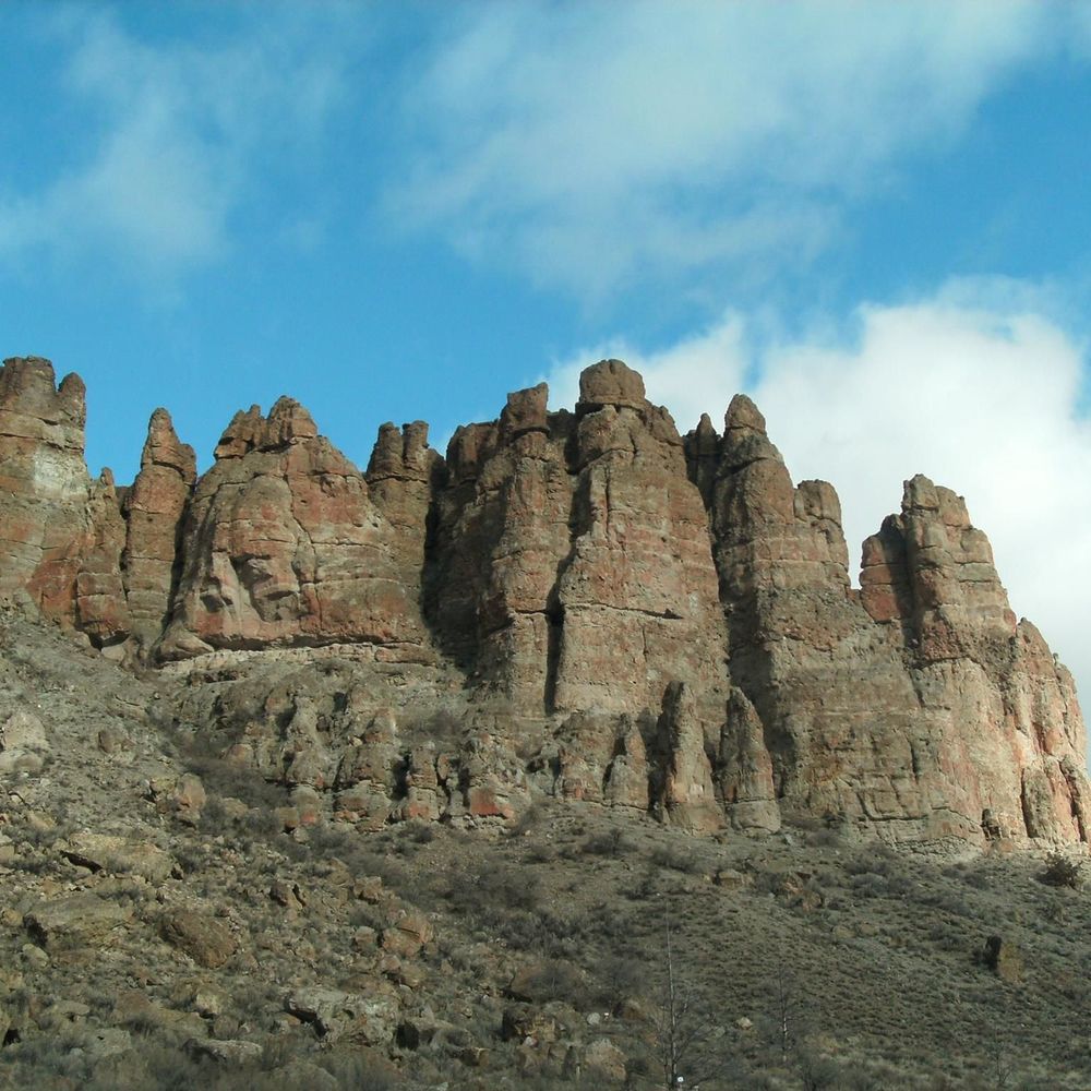 Meet your Posher, Alyse