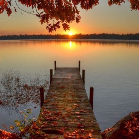 Meet your Posher, Cherish - Picture 1 of 1