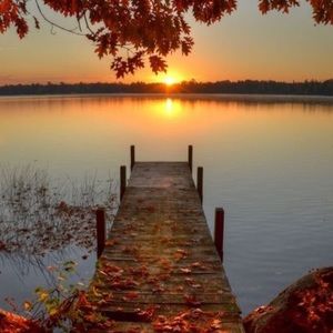 Meet your Posher, Cherish