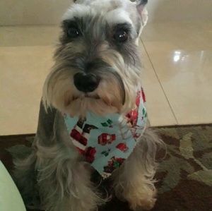 Meet your Posher, Elia