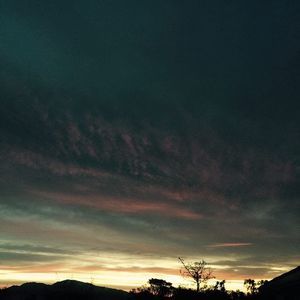 Meet your Posher, Maximo