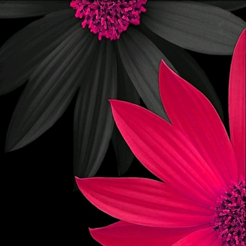 Meet your Posher, Jeanette