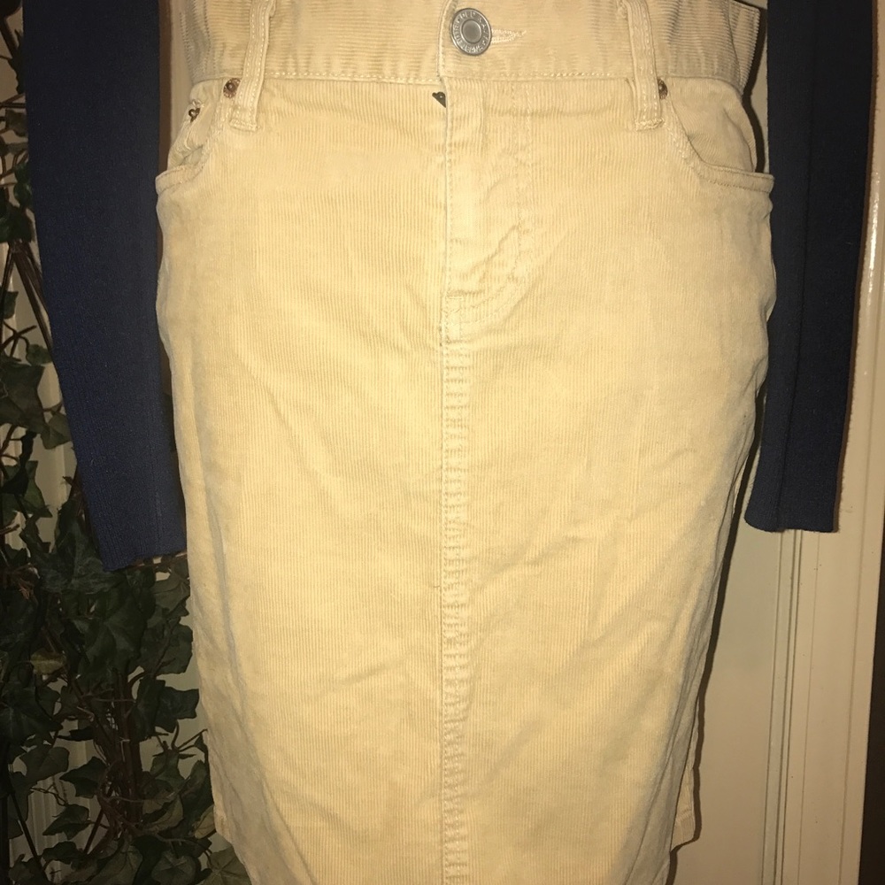 PERFECT Neutral Corduroy Fall Skirt 