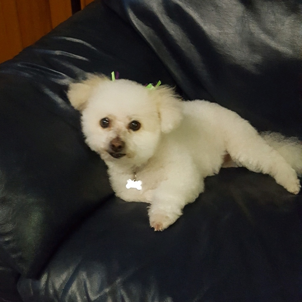 Meet your Posher, Wendy