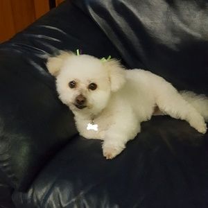 Meet your Posher, Wendy