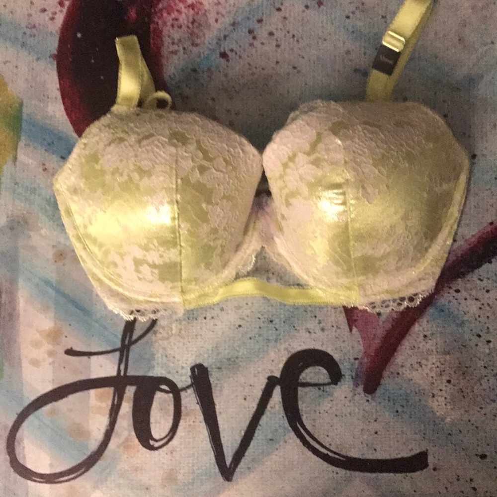 NWT VS a Dream Angel 32DDD