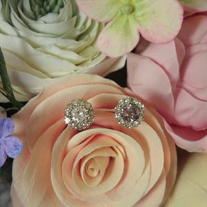 Old Cut Naturaly Fancy Diamond Colors Stud Earring