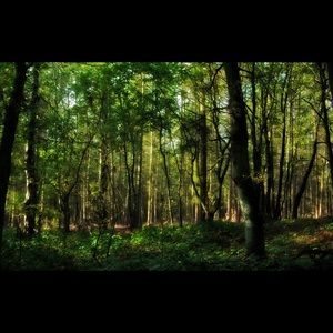 Meet your Posher, Angelica