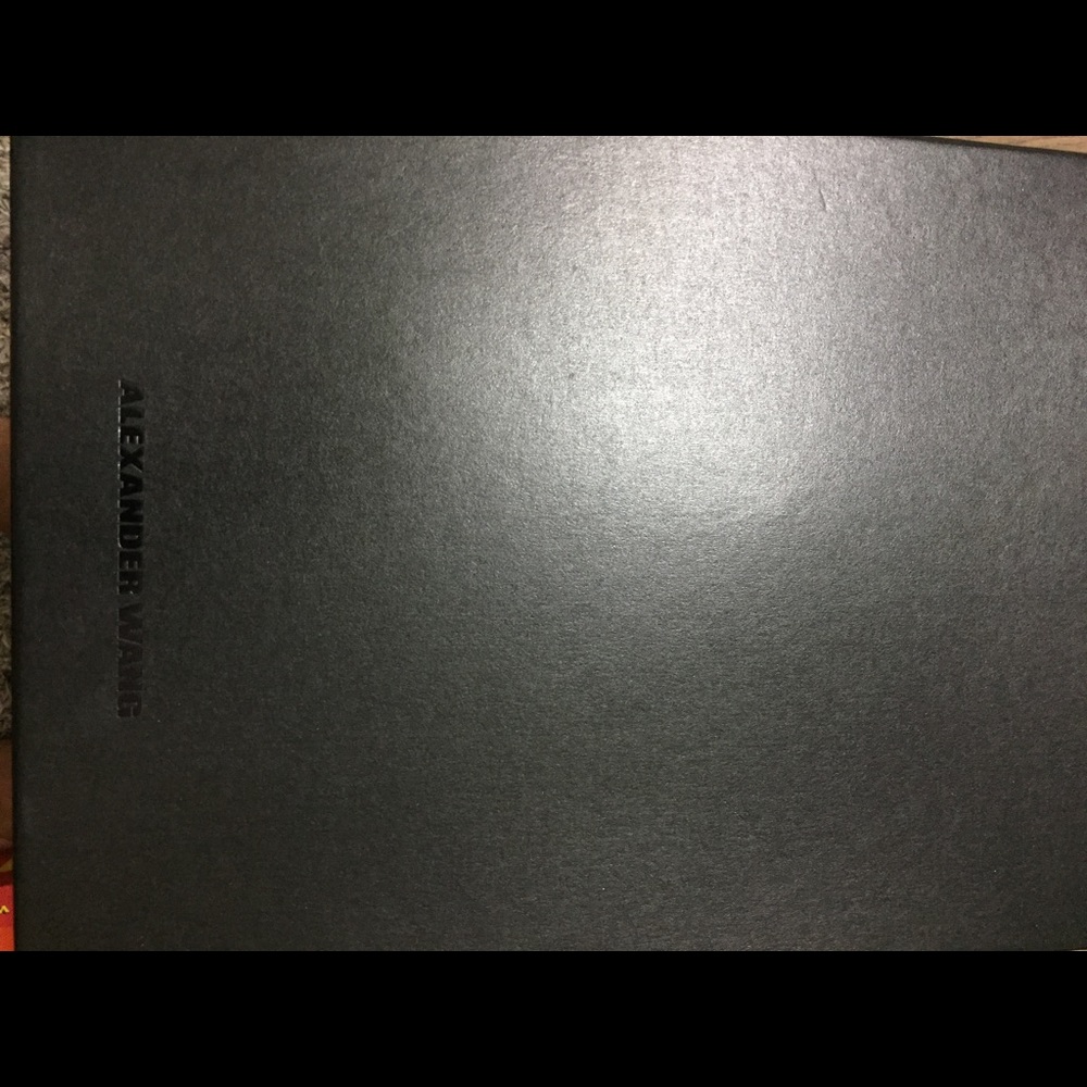 Alexander wang Abby sandals