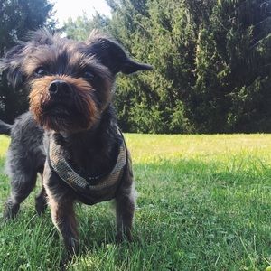 Meet your Posher, Natalie