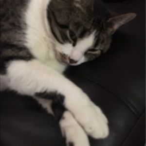 Meet your Posher, Robert