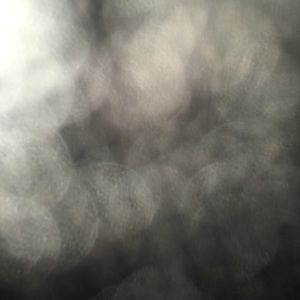 Meet your Posher, Lidys