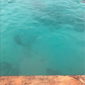 Meet your Posher, Ayoka