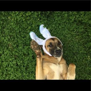 Meet your Posher, Austin