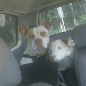 Meet your Posher, Ali