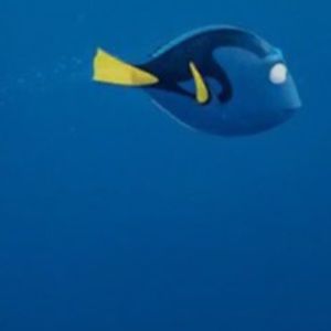 Meet your Posher, Mallory