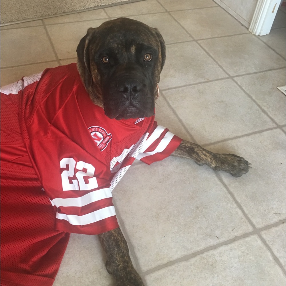 Meet your Posher, Hallie