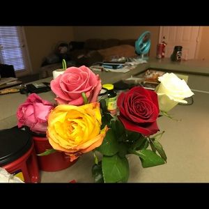 Meet your Posher, Mary jane