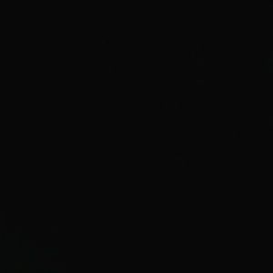 Meet your Posher, Connie