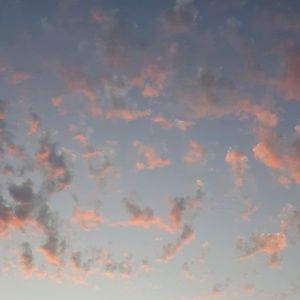 Meet your Posher, Jack